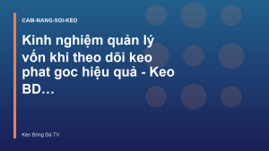 Read more about the article Kinh nghiệm quản lý vốn khi theo dõi keo phat goc hiệu quả – Keo BD TV