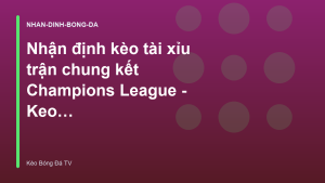 Read more about the article Nhận định kèo tài xỉu trận chung kết Champions League – Keo BD TV